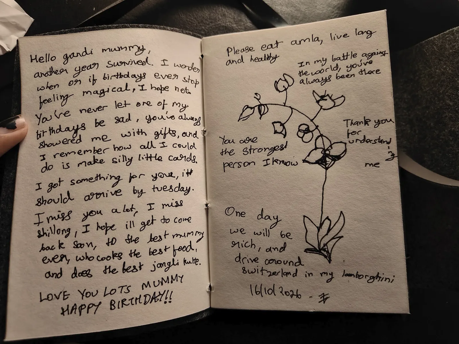 The handwritten birthday letter and orchid drawing in the diary